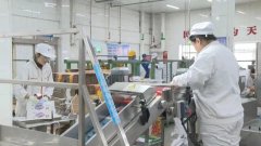 也落正在了万千旅客的笑脸