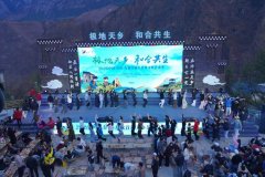 将由专业团队全年巡护、采摘